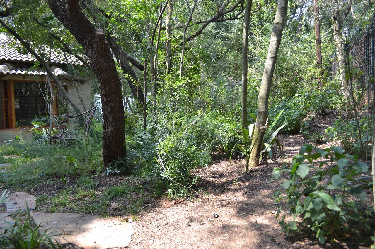 Lydall Wild Tranquil Garden Suites Johannesburg Eksteriør bilde